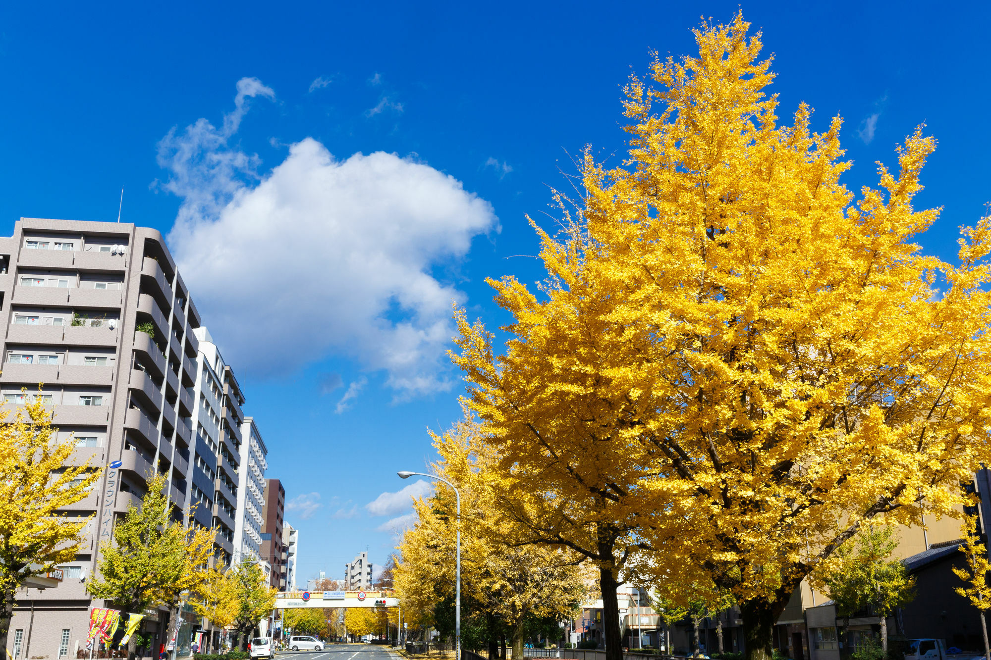 Kyoto City Hotel Exterior foto